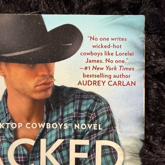 Racked And Stacked Lorelei James Contemporary Romance Cowboy Novel Paperback - Picture 4 of 6